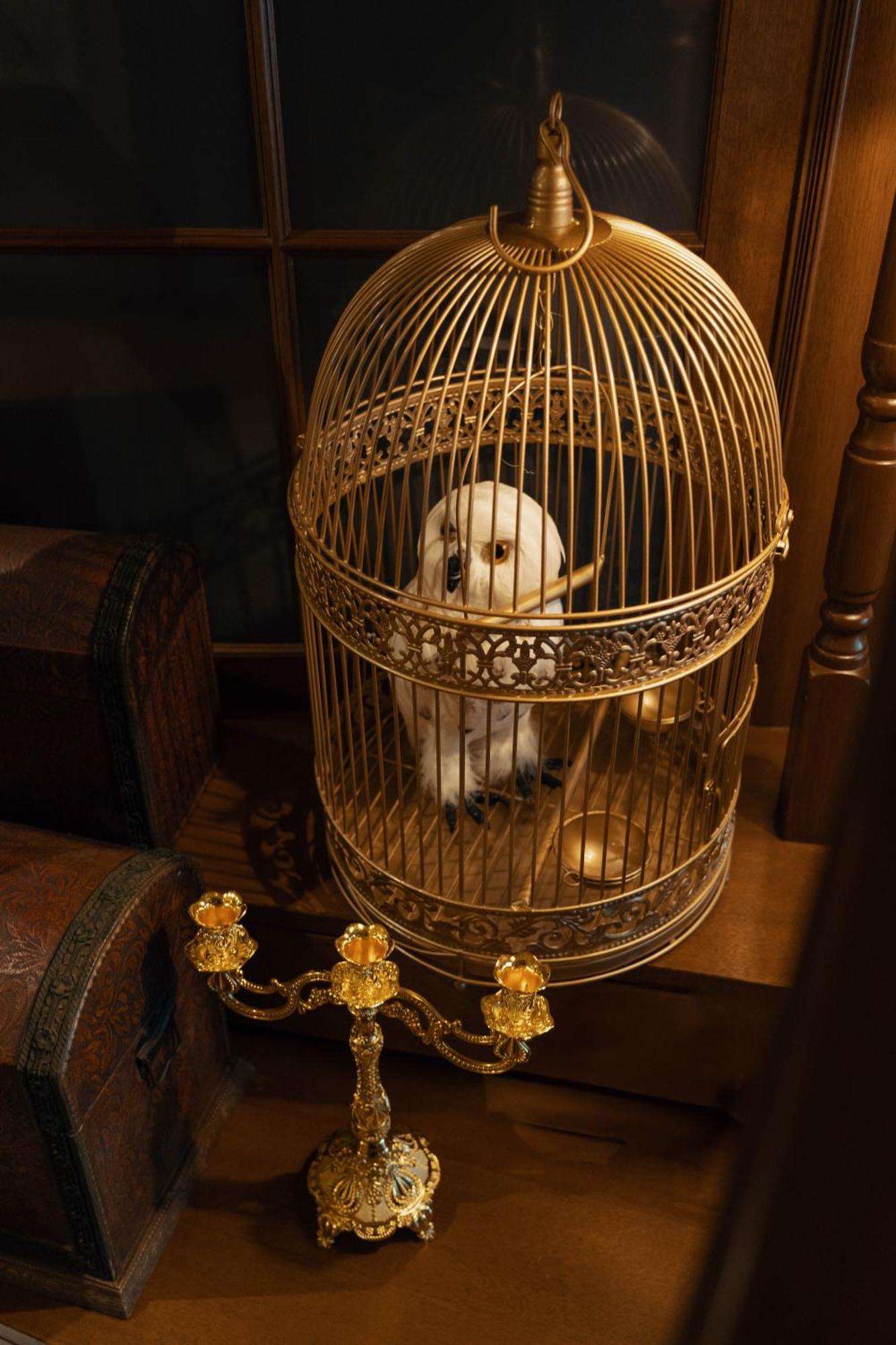 Wizarding Near Klcc Link Lrt & Mall * Kuala Lumpur